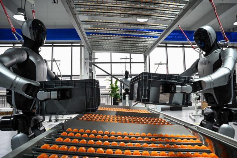 Humanoid robots work on an imitation factory production line at a robot training centre in east China’s Jiangsu province. Photo: AFP